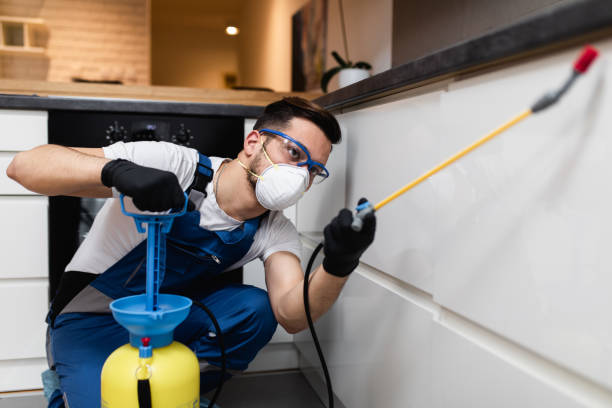 Best Pest Prevention Services  in Ferris, TX
