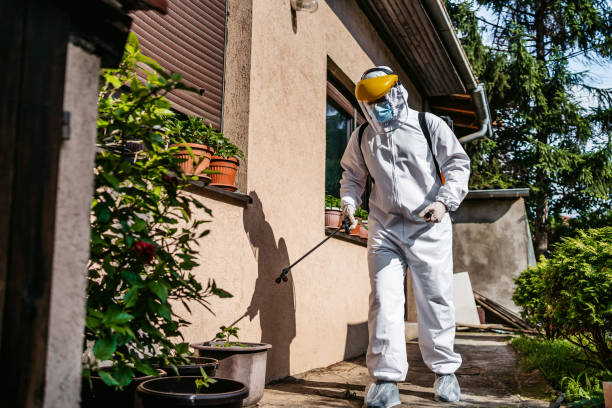 Best Cockroach Control Services  in Ferris, TX