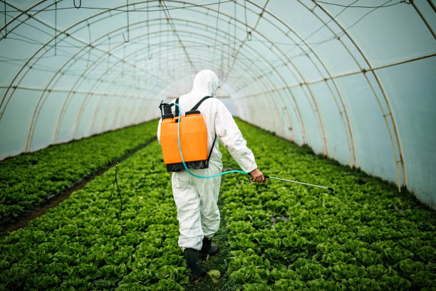 Best Affordable Pest Control Services  in Ferris, TX