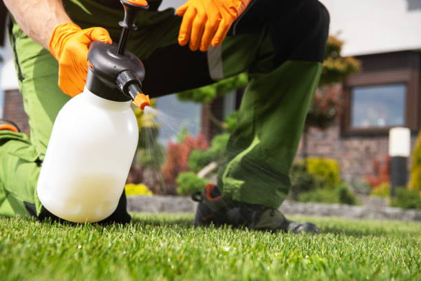 Best Affordable Pest Control Services  in Ferris, TX