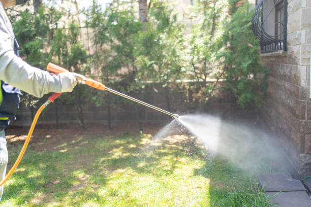 Best Insect Control  in Ferris, TX