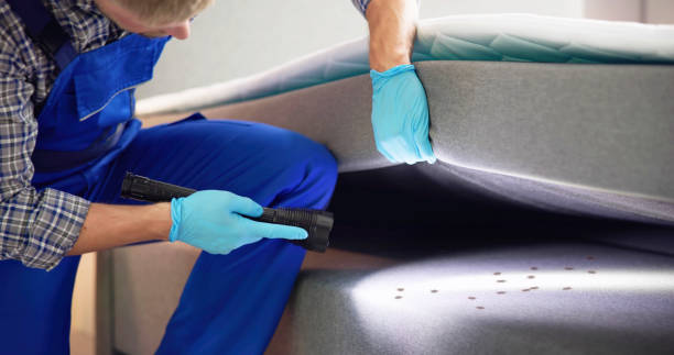 Pest Prevention Services in Ferris, TX